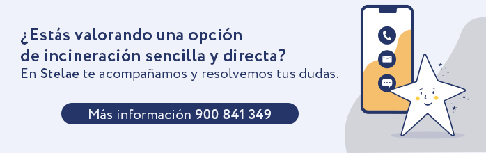 servicios-stelae