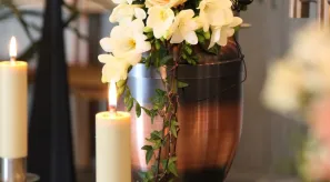 cremation requirements