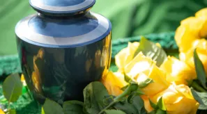 Cremation-requirements