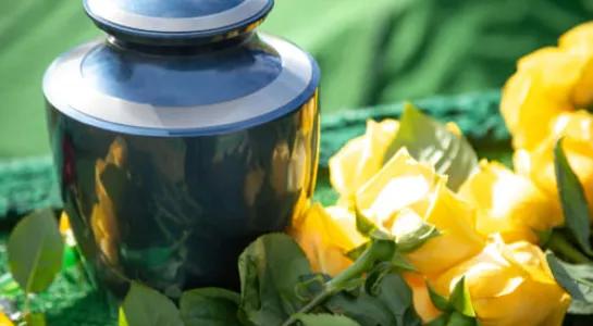 Cremation-requirements